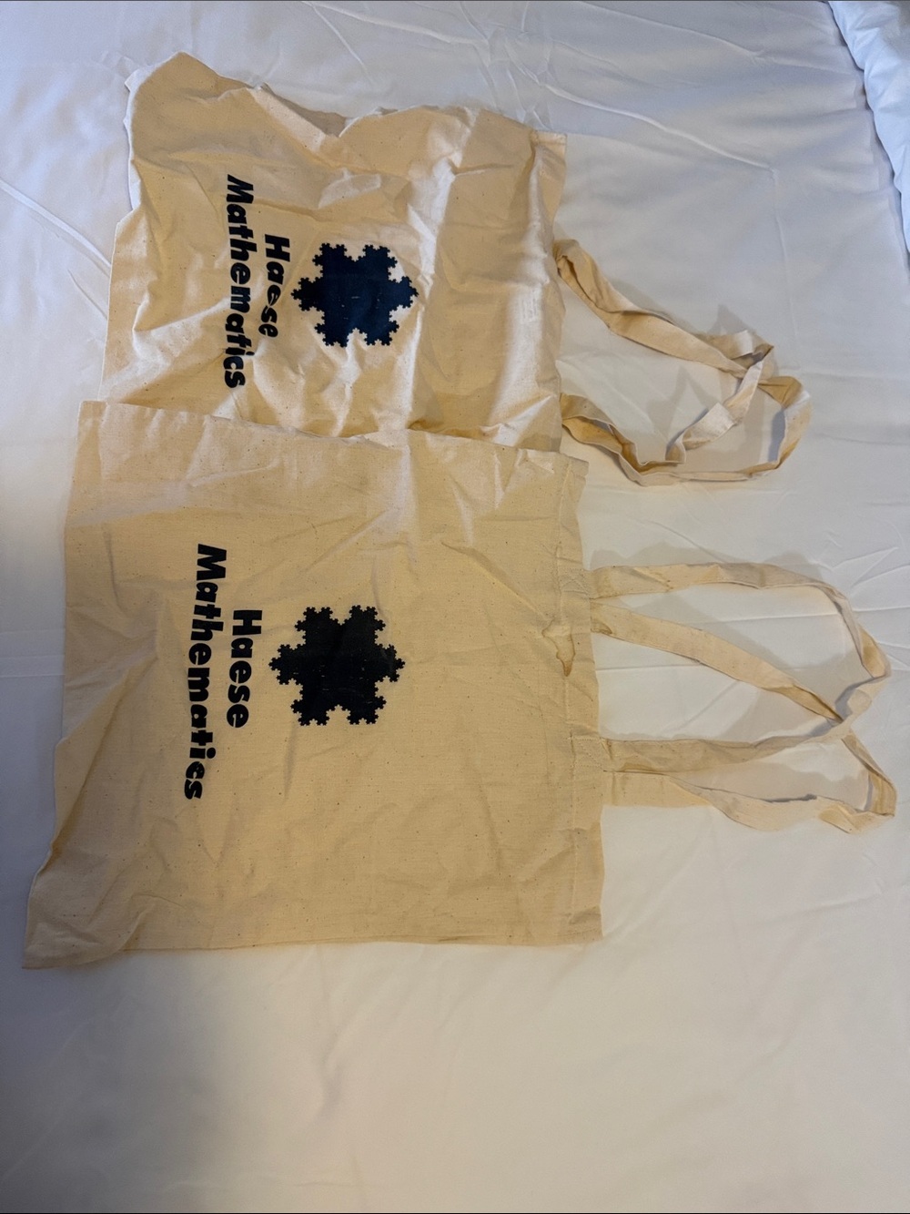 2 Natural Canvas Tote Bag - Beige